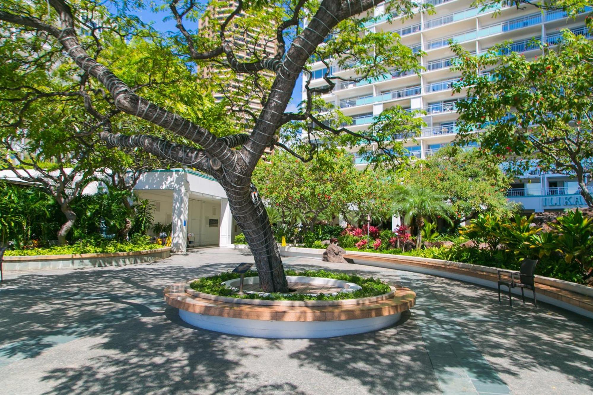 Ilikai Tower 931 Yacht Harbor View 1Br Apartment Honolulu Luaran gambar